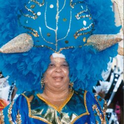 Person wearing large blue feathered carnival headdress