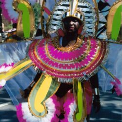 Colorful feathered carnival costume with elaborate headdress