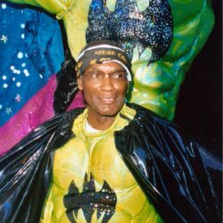 Person in green superhero costume with bat emblem