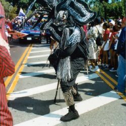 Person in black-and-white elaborate carnival costume