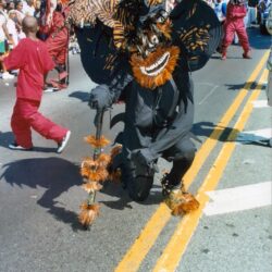 Performer in tiger-themed black and orange costume