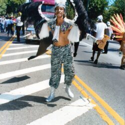 Street parade performer in zebra-print and feathers