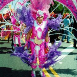 Parade performer in pink and purple feathered costume