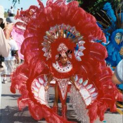 Parade performer in red feathered carnival costume