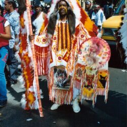 Person in colorful feathered ceremonial costume