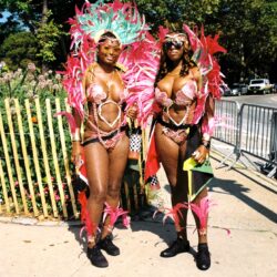 Two women in pink feathered carnival costumes