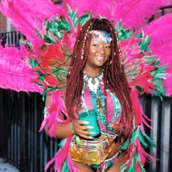 Woman in pink feathered carnival costume