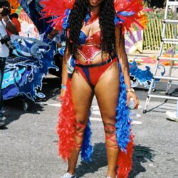 Smiling woman in red and blue carnival costume