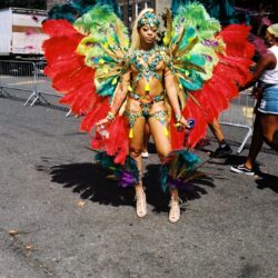 Woman in vibrant feathered carnival costume