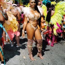 Carnival dancer in ornate feathered costume