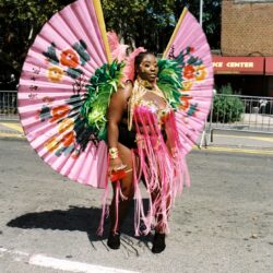 Person wearing large pink floral carnival wings