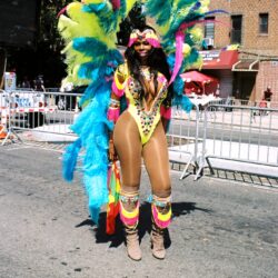 Woman in vibrant feathered carnival costume
