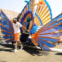 Parade performer with blue and orange wings