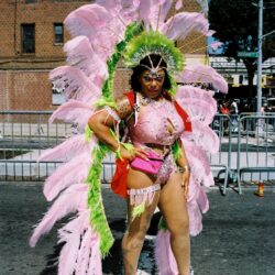 Person wearing pink feathered carnival costume at parade