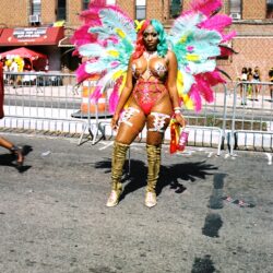 Carnival dancer in colorful feathered costume
