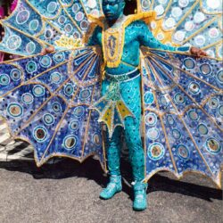 Person in blue peacock carnival costume