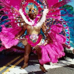 Person in vibrant pink carnival feathered costume