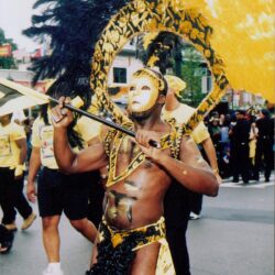 Masked carnival dancer in yellow and black costume