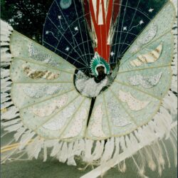 Carnival performer wearing large winged costume