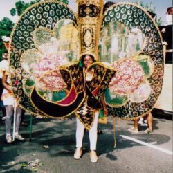 Parade performer in ornate butterfly carnival costume