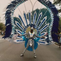 Performer in elaborate blue feathered carnival costume