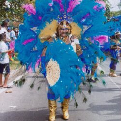 Person in vibrant blue feathered carnival costume