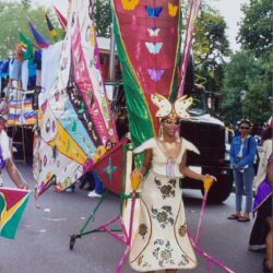 Person in vibrant butterfly costume at parade