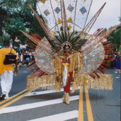 Colorful carnival performer with large feathered costume