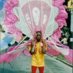 Person in colorful carnival costume on street.