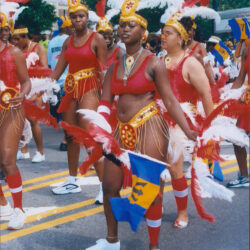 Carnival dancers in red costumes holding flag