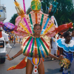 Person in colorful carnival costume with large headdress