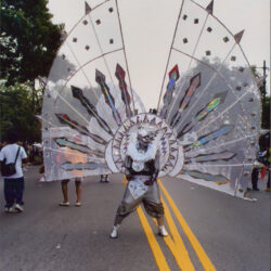 Person in large silver butterfly wings costume