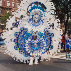 Elaborate blue and white feathered parade costume