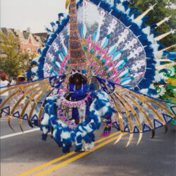 Performer in elaborate peacock costume at parade