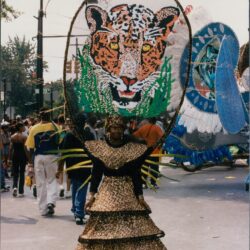Carnival costume with large leopard design.