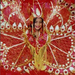 Carnival costume with vibrant red feathers.