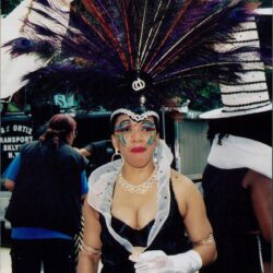 Carnival performer in elaborate feathered costume.