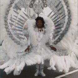 Carnival costume with feathers and intricate design.