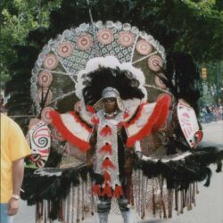 Carnival costume with feathers and intricate designs.