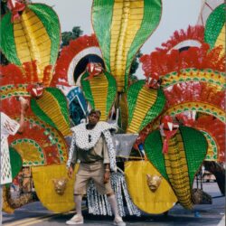 Carnival costume with colorful feathered cobra design.