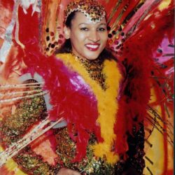 Carnival performer in vibrant, feathered costume.