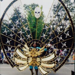 Carnival costume with skull and wings.