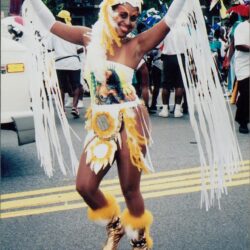 Carnival dancer in colorful feathered costume.
