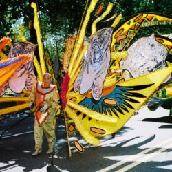 Parade costume with vibrant butterfly and tiger design.