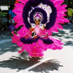 Child wearing pink feathered carnival costume