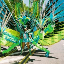 Carnival performer in vibrant, colorful feathered costume.