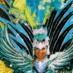 Carnival performer in vibrant feathered costume.