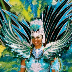 Carnival costume with vibrant feathers and jewels.