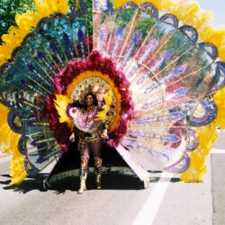 Carnival performer in colorful, elaborate costume.