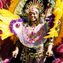 Carnival costume with vibrant feathers and jewels.